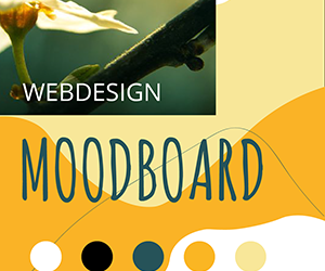 Doe inspiratie op en maak een webdesign moodboard
